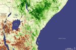 vegetation anomaly - December 1 - 31, 2006