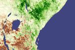 vegetation anomaly - December 1 - 31, 2006
