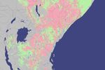 Rift Valley fever risk assessment - December 1 - 31, 2006