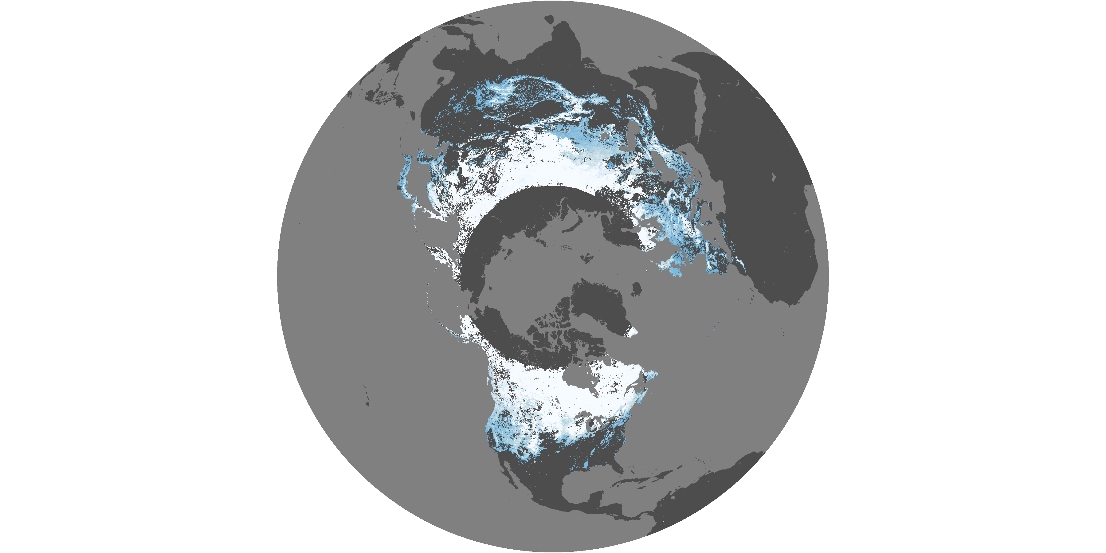 December 1 - 31, 2008