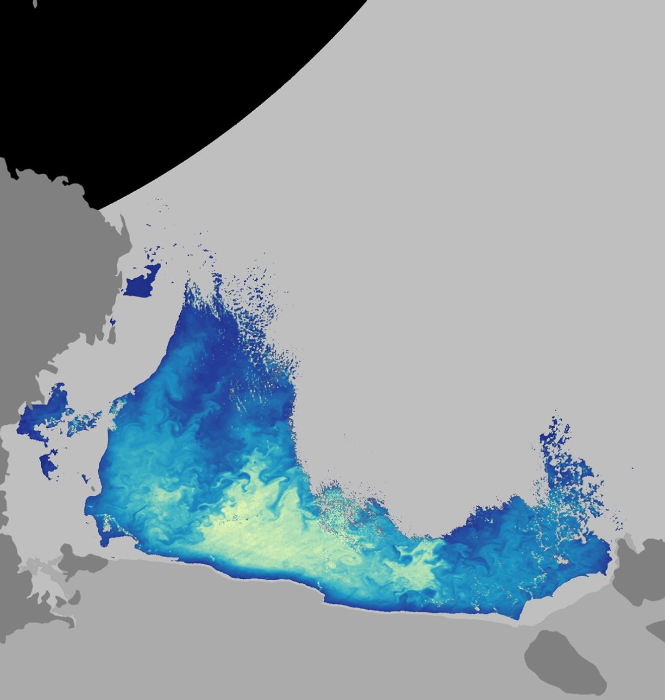 chlorophyll - December 5, 2005