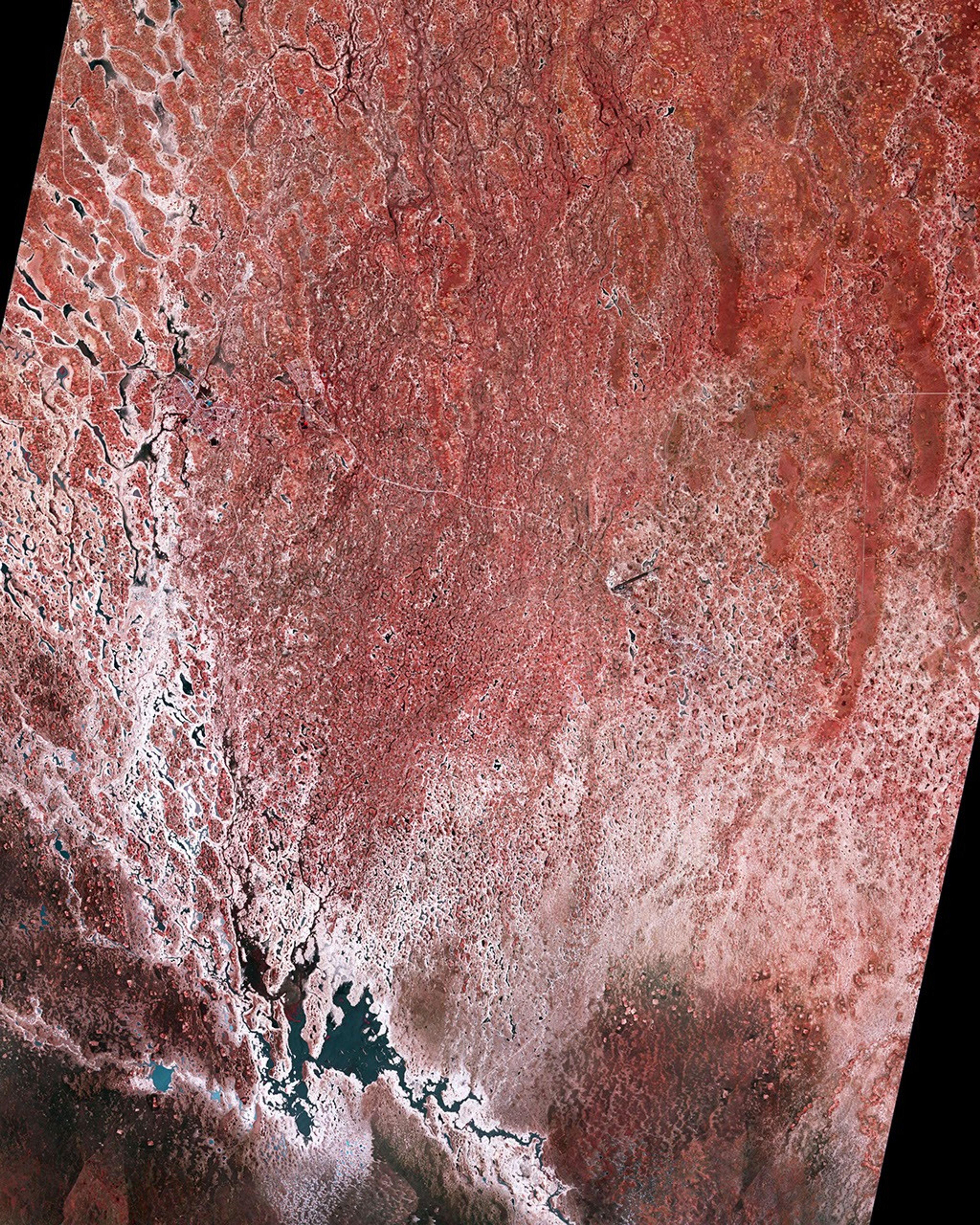 Flooding on the Cuvelai River, Namibia