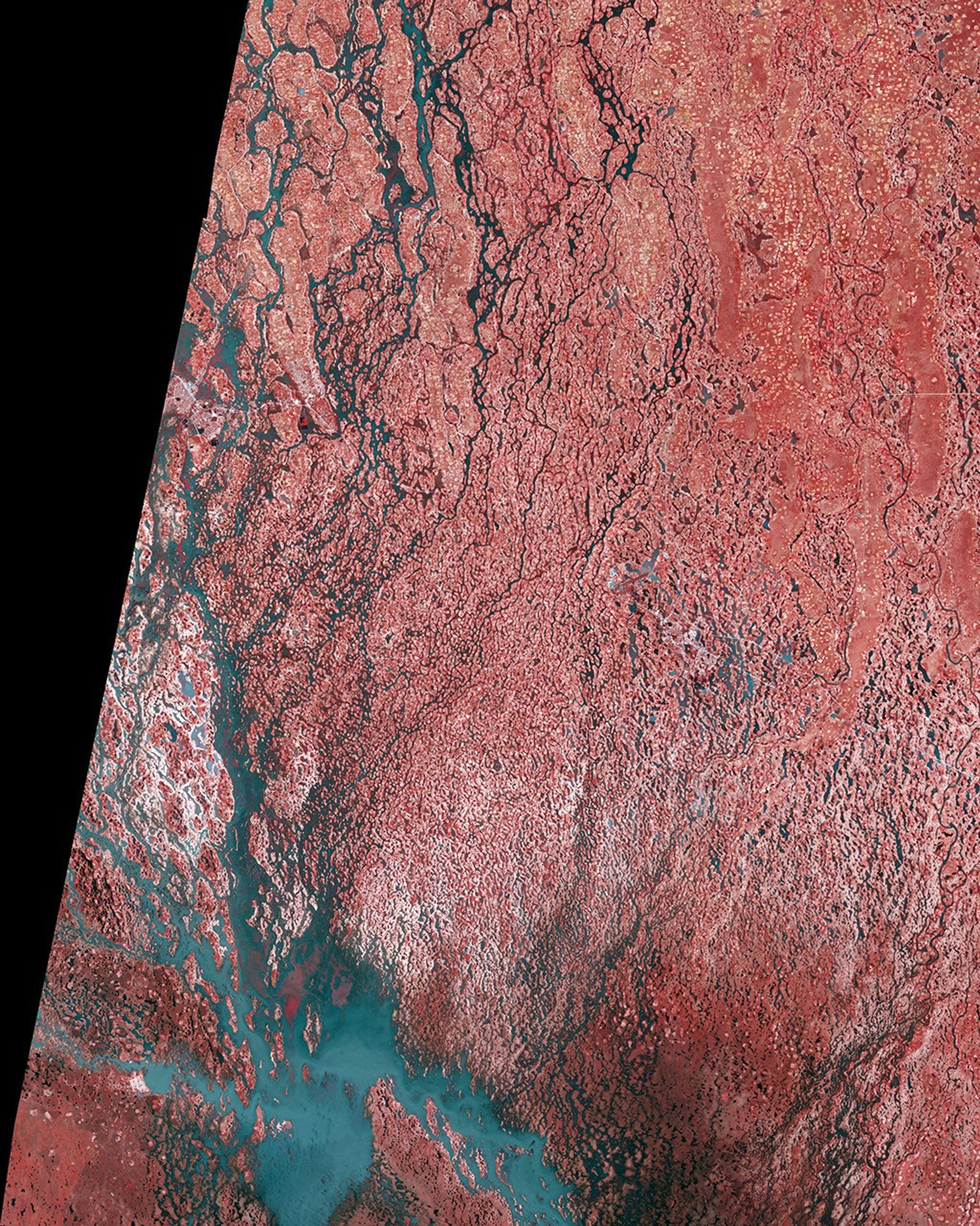 Flooding on the Cuvelai River, Namibia