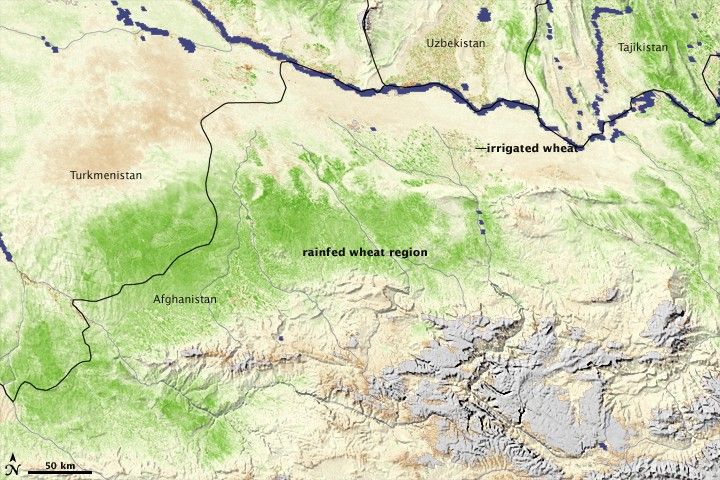 April 23 - May 8, 2009