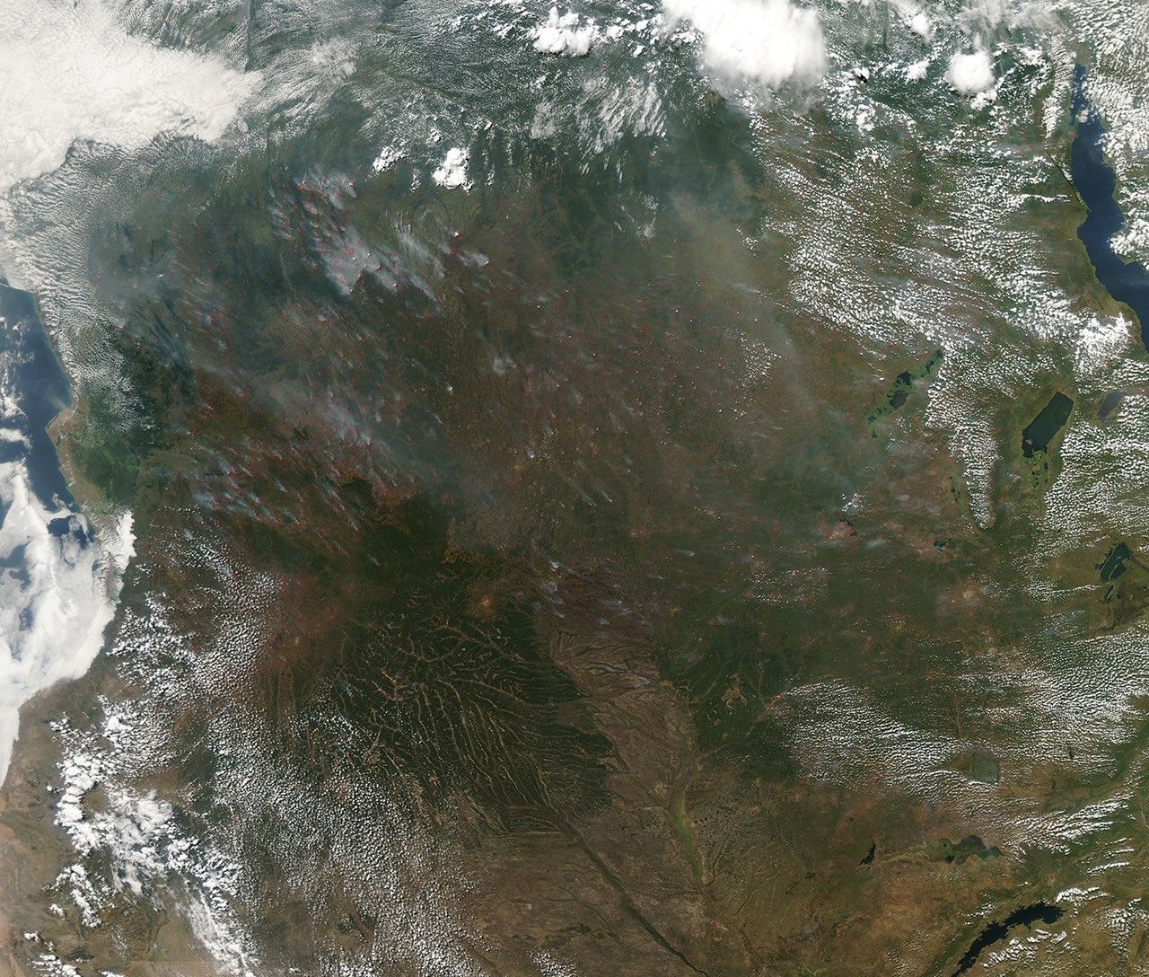 Fires in Central Africa