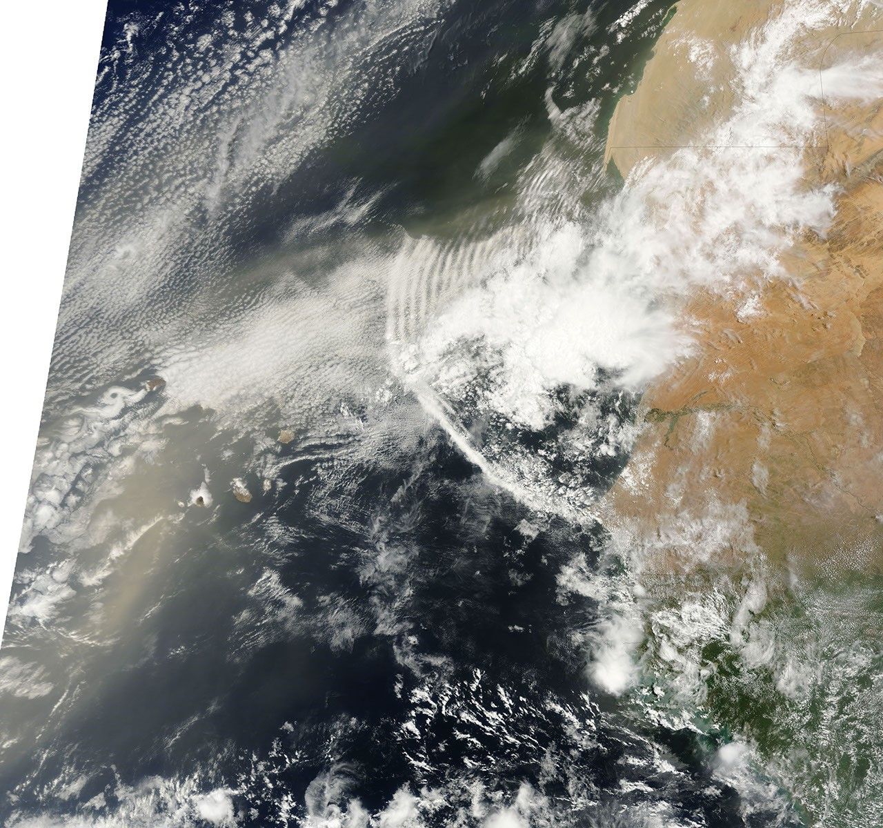 Dust Plumes off Western Africa