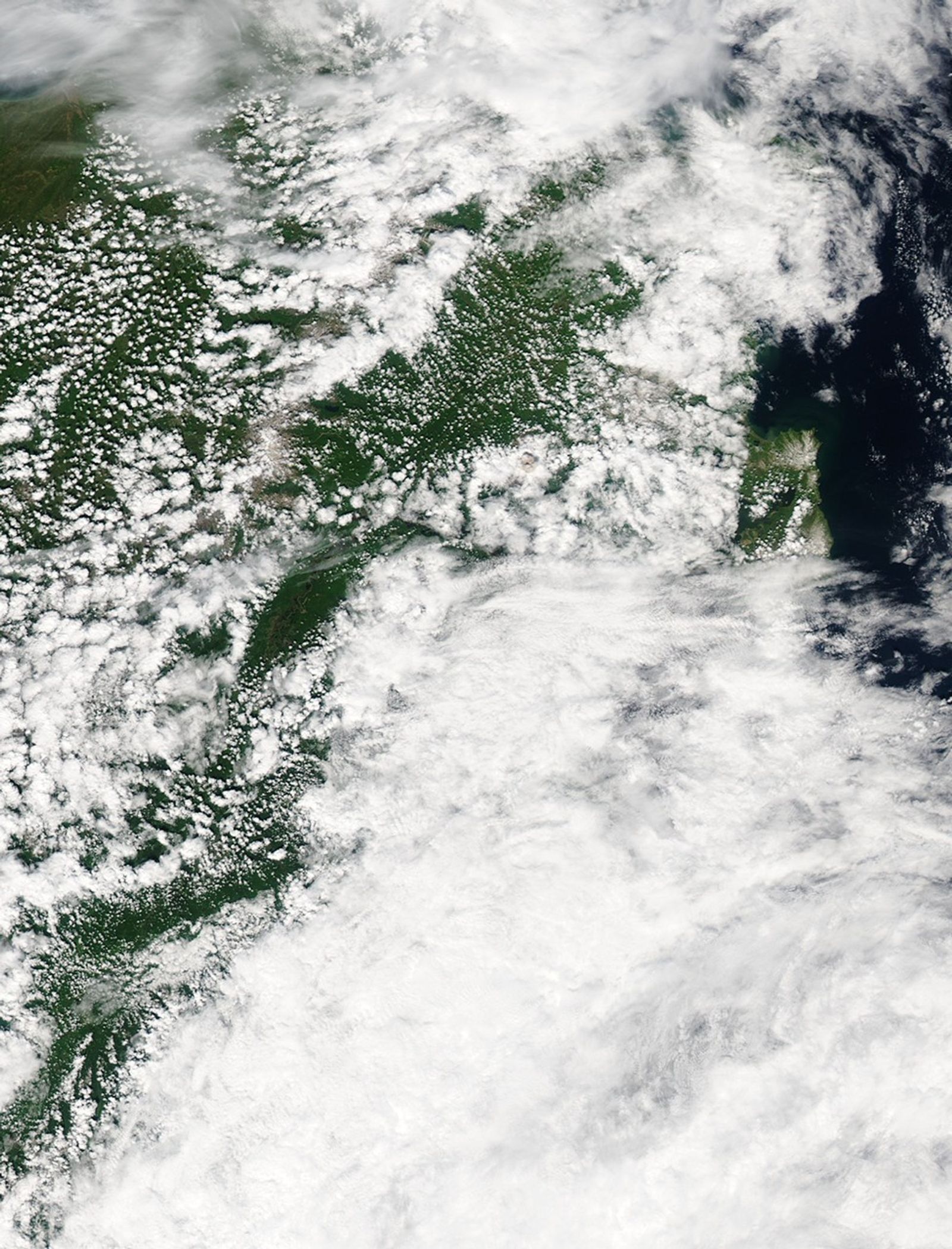 Plume from Shiveluch Volcano