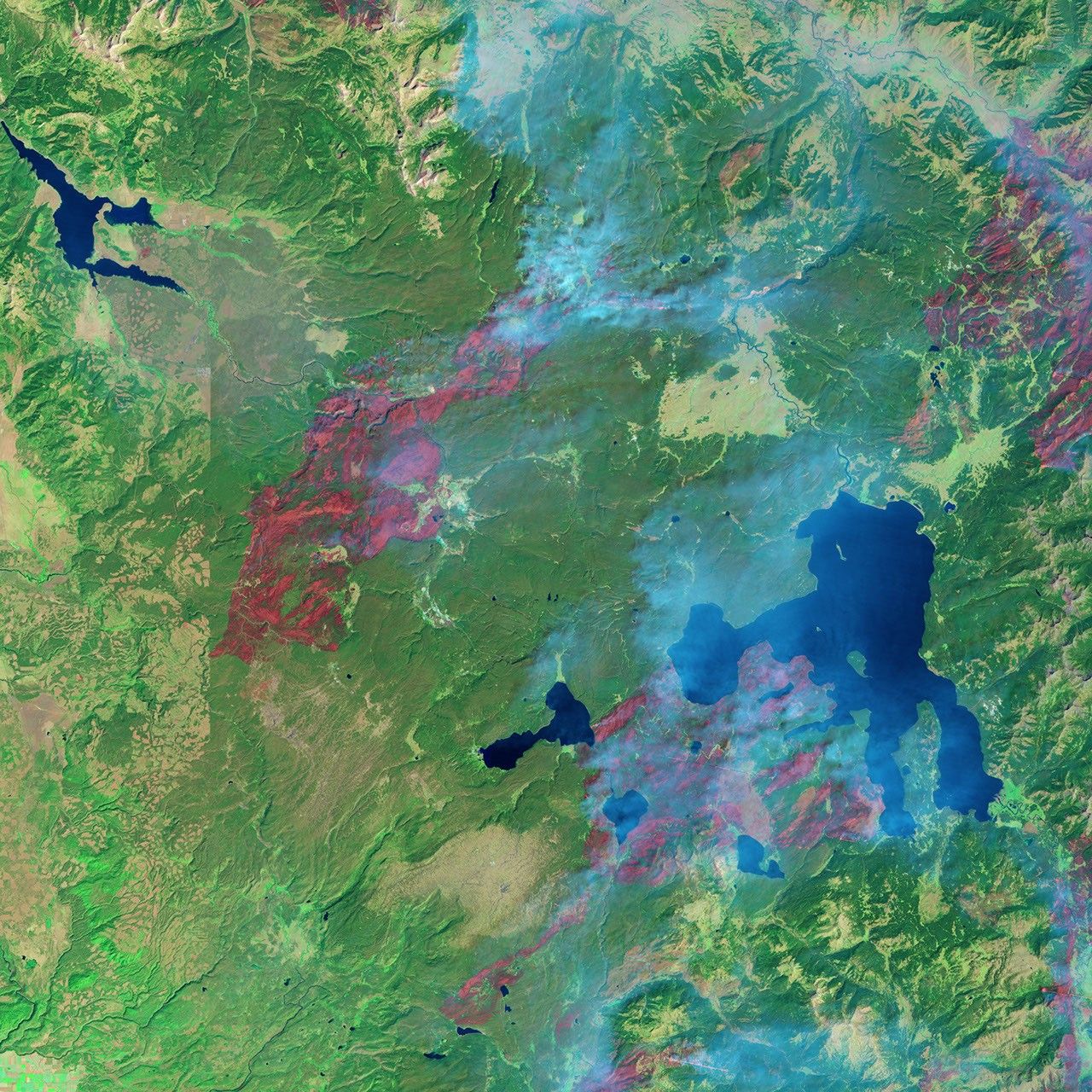 Yellowstone Recovers from 1988 Fires