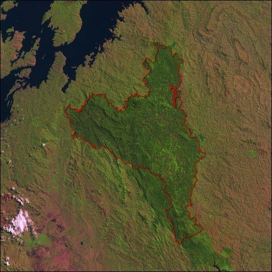 Nyungwe National Park, Rwanda