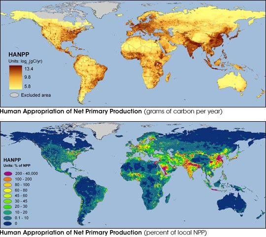 Human Consumption of Net Primary Production