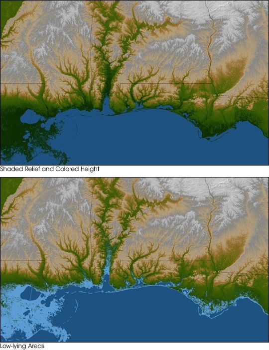 Gulf Coast Land Elevation