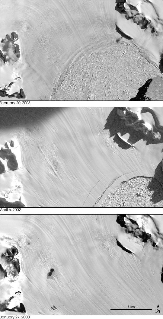 Glacier Speeds Up After Ice Shelf Collapses
