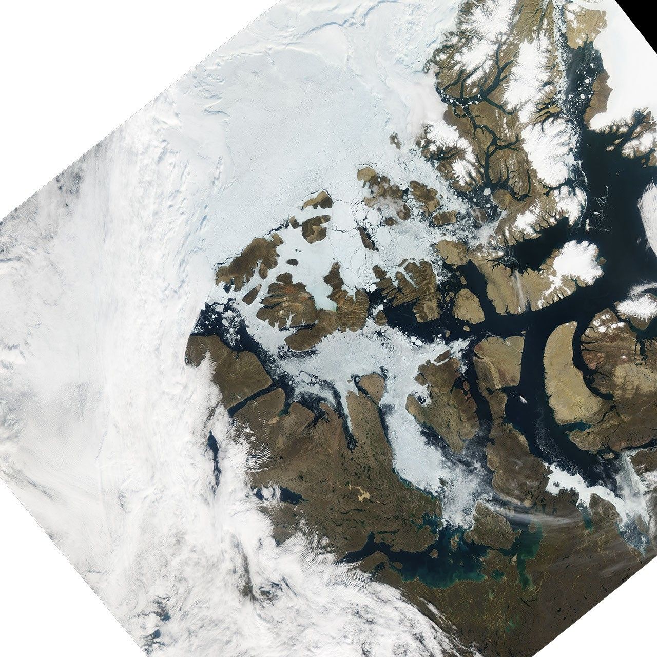 Northwest Passage, Late August 2009