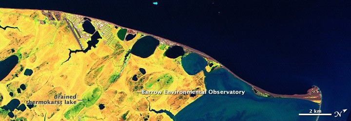 
			Studying Plants, Permafrost, and Carbon near Barrow, Alaska - NASA Science			