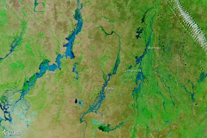 March 8, 2010 - March 8, 2010