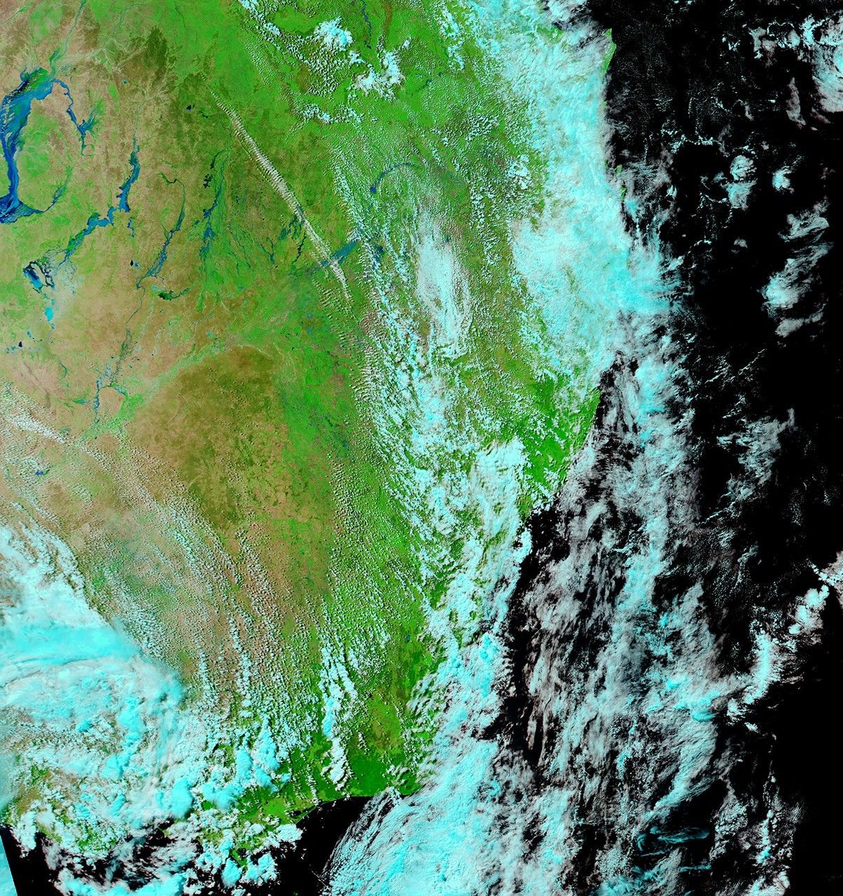 March 8, 2010 - March 8, 2010
