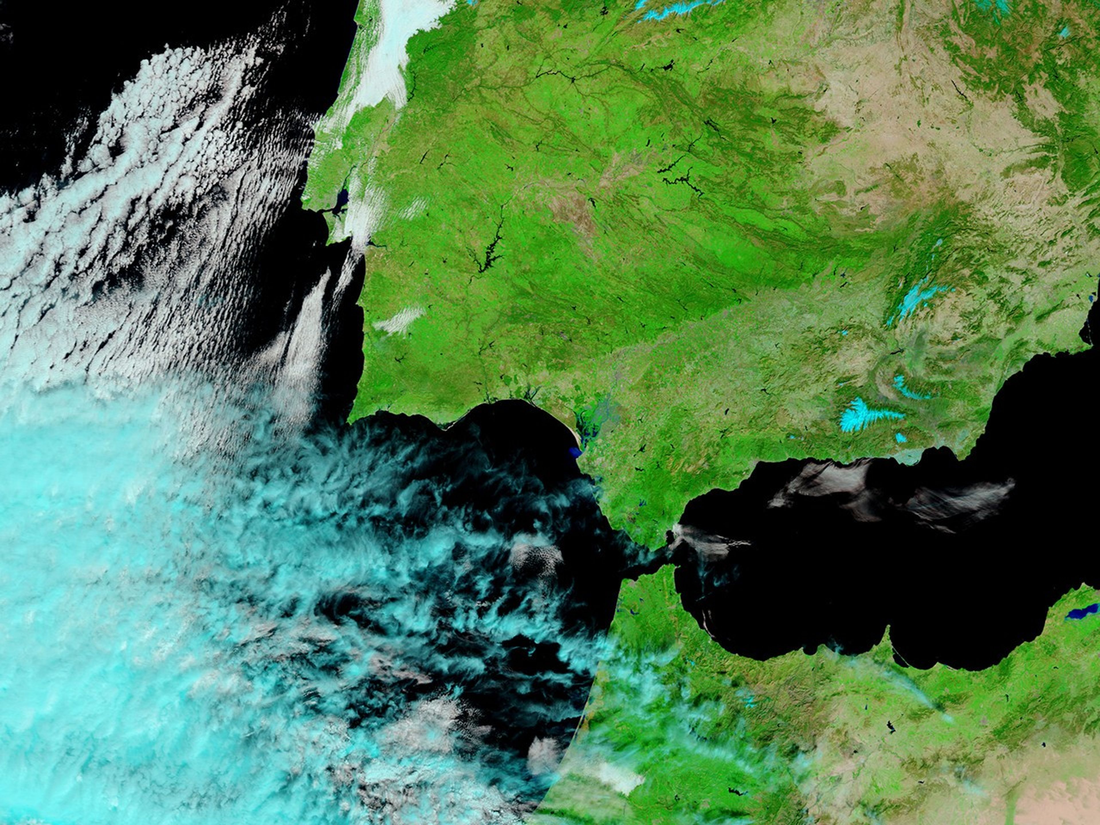 March 8, 2009 - March 8, 2009