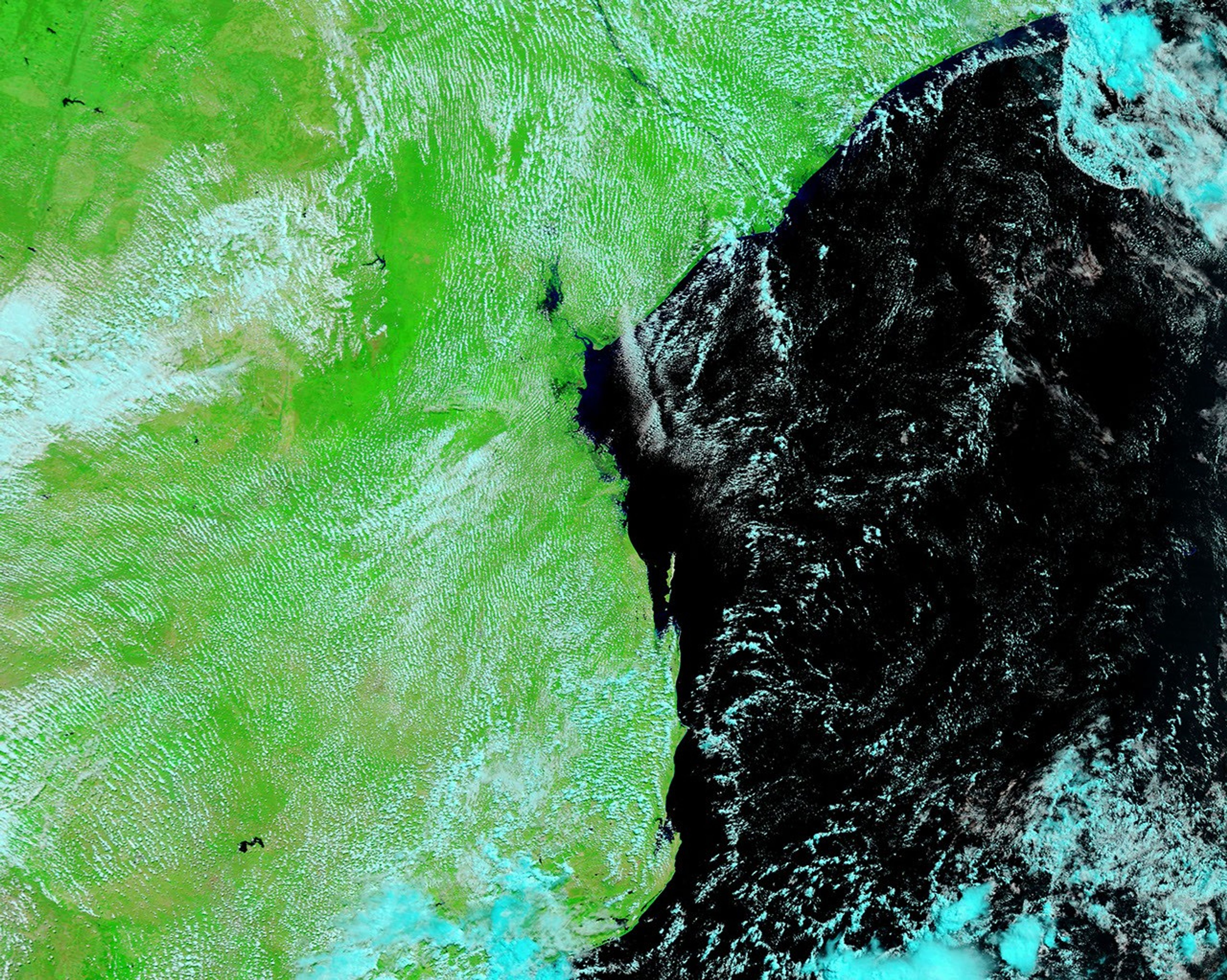 March 8, 2010 - March 8, 2010