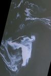 2010-05-01 00:00:00