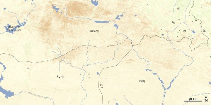 May 25 - June 9, 2010