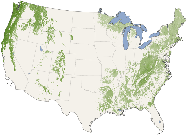 January 1 - December 31, 2004