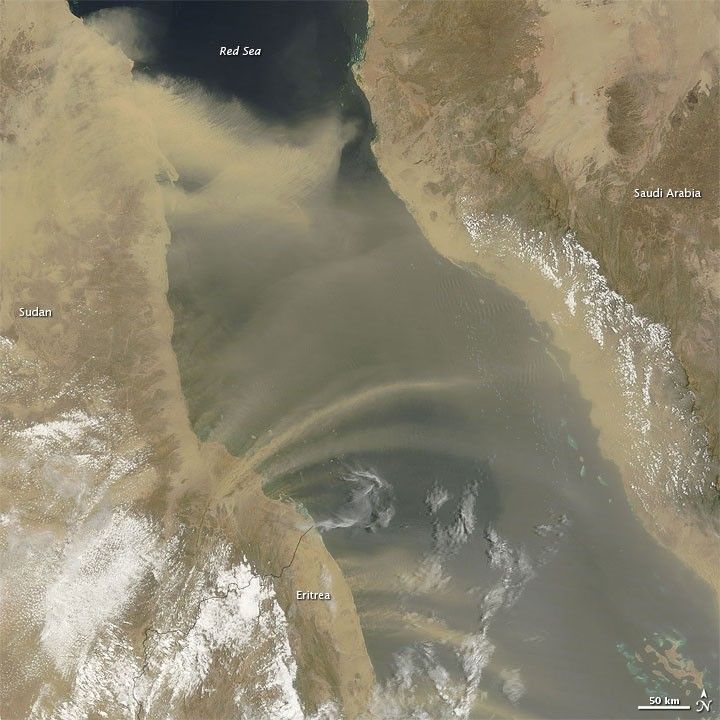 Dust Storm over the Red Sea