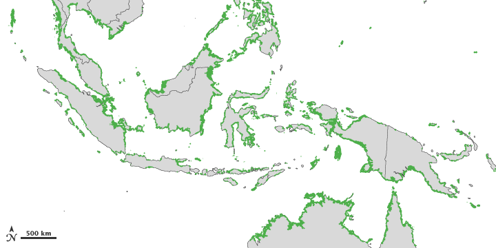 Mapping Mangroves by Satellite