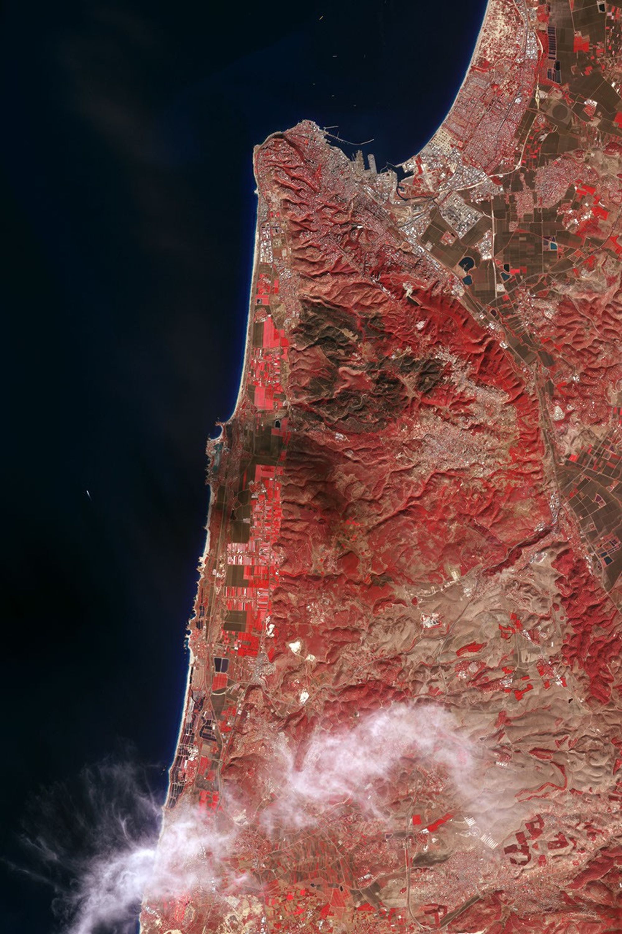 Deadly Forest Fire in Northern Israel