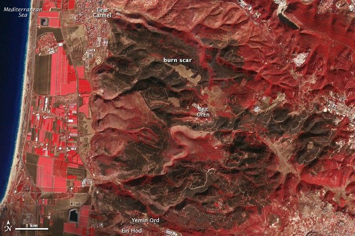 Deadly Forest Fire in Northern Israel