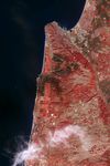 Deadly Forest Fire in Northern Israel