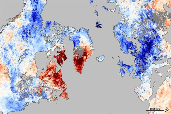 December 3 - 10, 2010