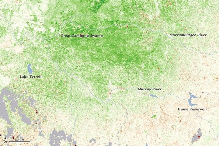 September 7 - 22, 2010