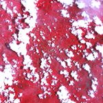 2011-01-18 00:00:00