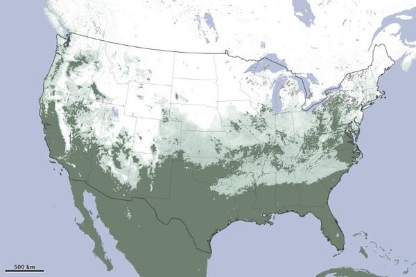 A Snowy Drought - NASA Science