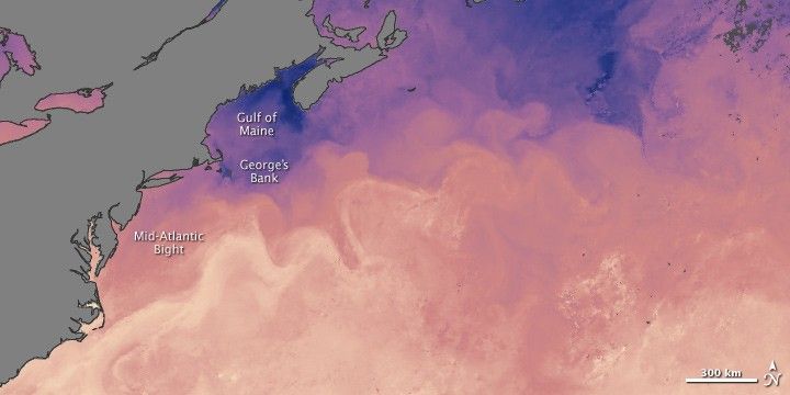 August 29 - September 5, 2010