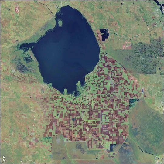 Wetland Changes Affect South Florida Freezes