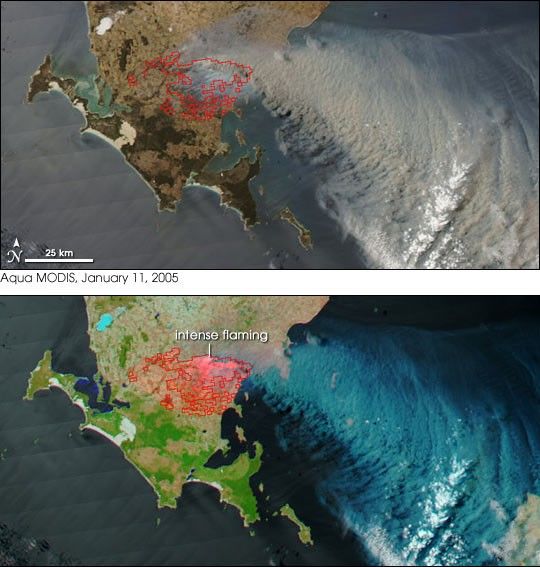 Bushfires Race Across South Australia