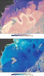 The Gulf Stream