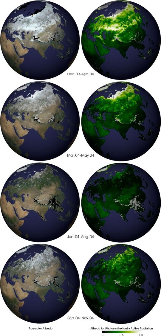 Seasonal Changes in Earth&rsquo;s Surface Albedo