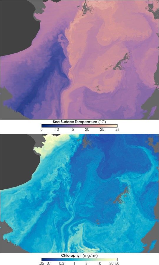 Malvinas Current, South America