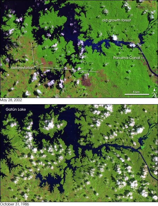 Deforestation around the Panama Canal