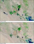 The Mesopotamian Marshes