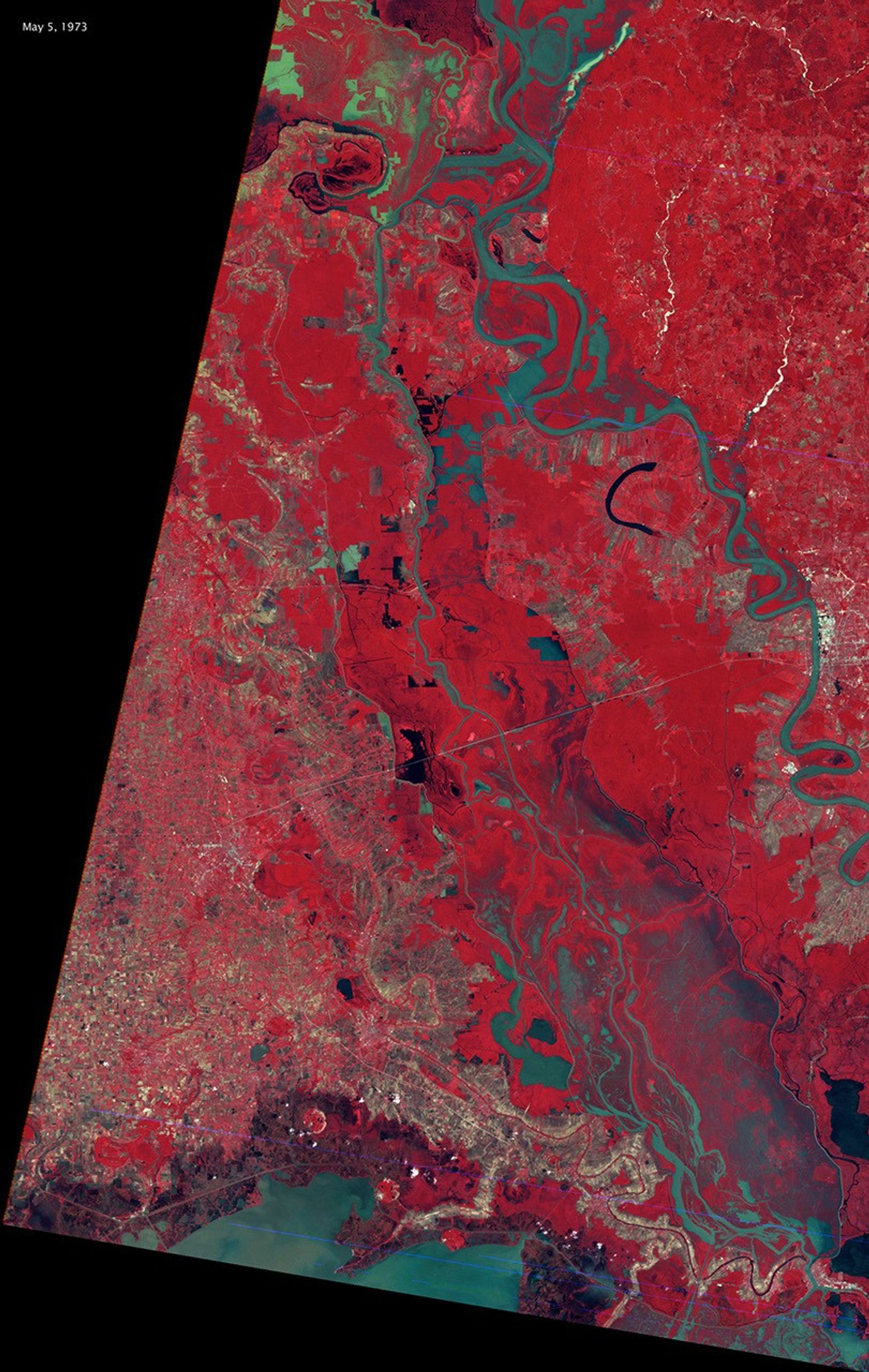 A false-color Landsat satellite image from May 5, 1973, showing flooding in the Morganza Floodway. The image displays vegetation in bright red, muddy flood waters in greenish-brown, and clear water in blue-black, highlighting the Mississippi River's water diversion through the emergency floodway system.