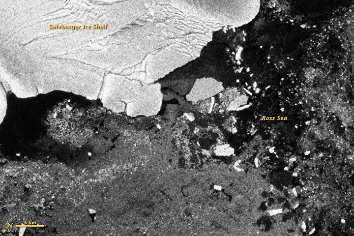 Antarctic Icebergs Chipped off by Japan Tsunami - NASA Science