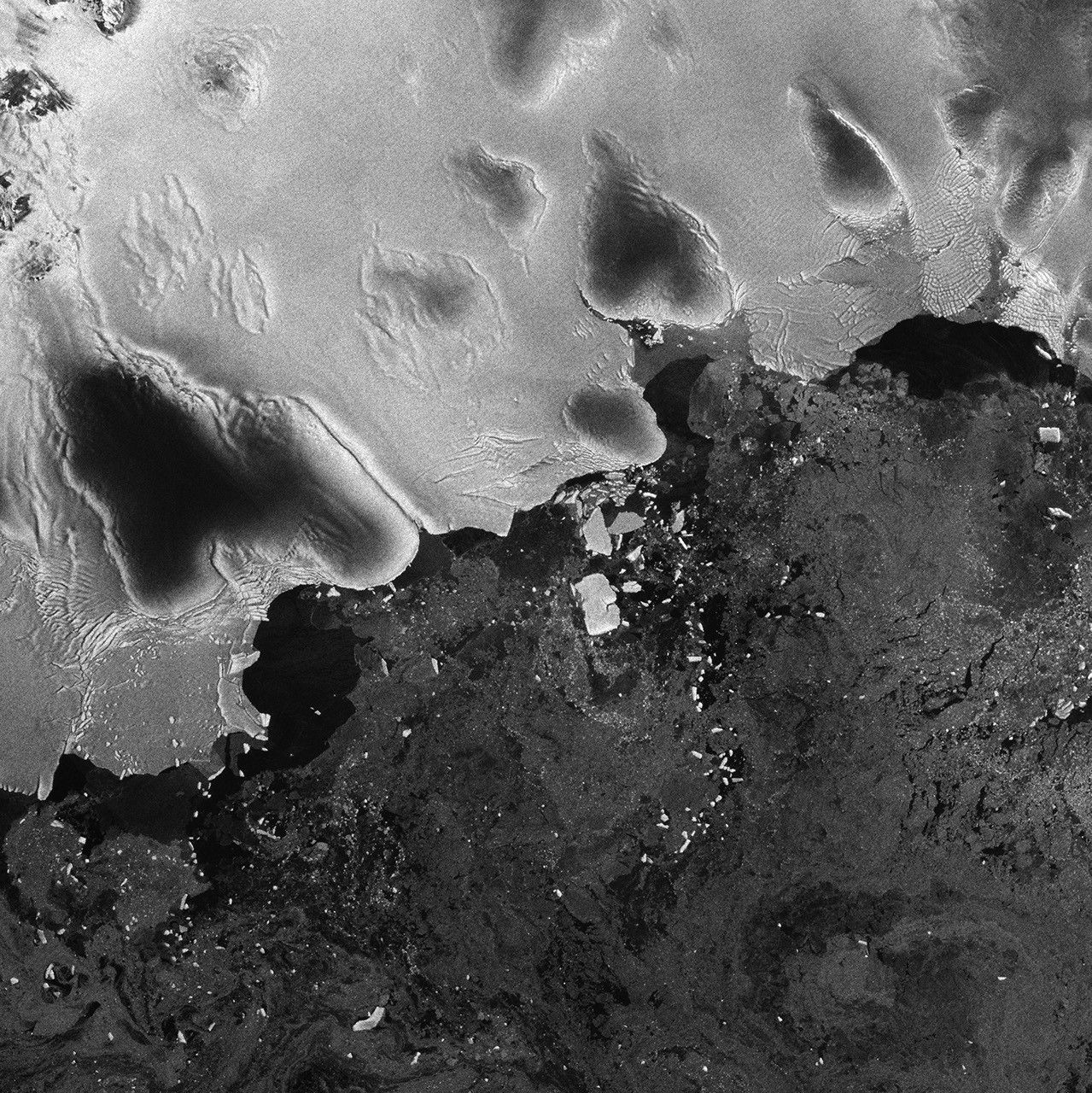 Antarctic Icebergs Chipped off by Japan Tsunami - NASA Science