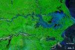 Flooding in India