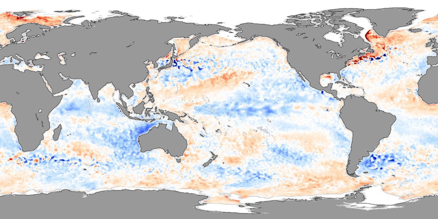 January 25 - February 1, 2006