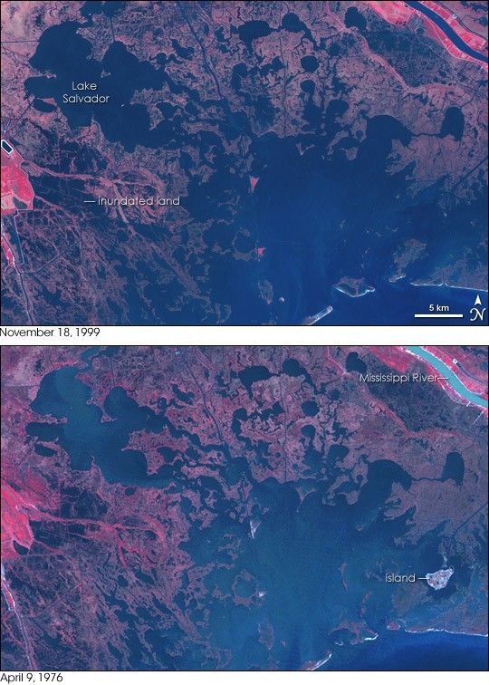 Louisiana Wetland Loss