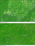 Deforestation in Guinea’s Parrot’s Beak Area