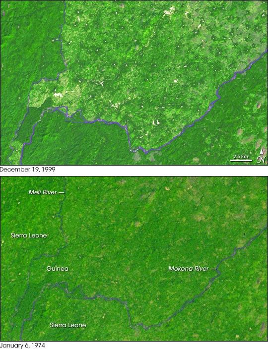 Deforestation in Guinea’s Parrot’s Beak Area